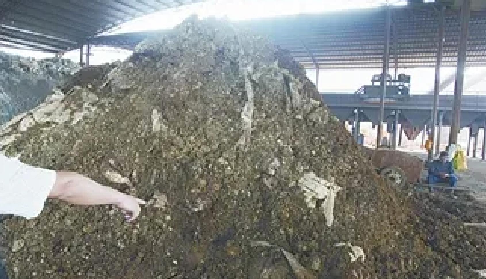 含铬污泥