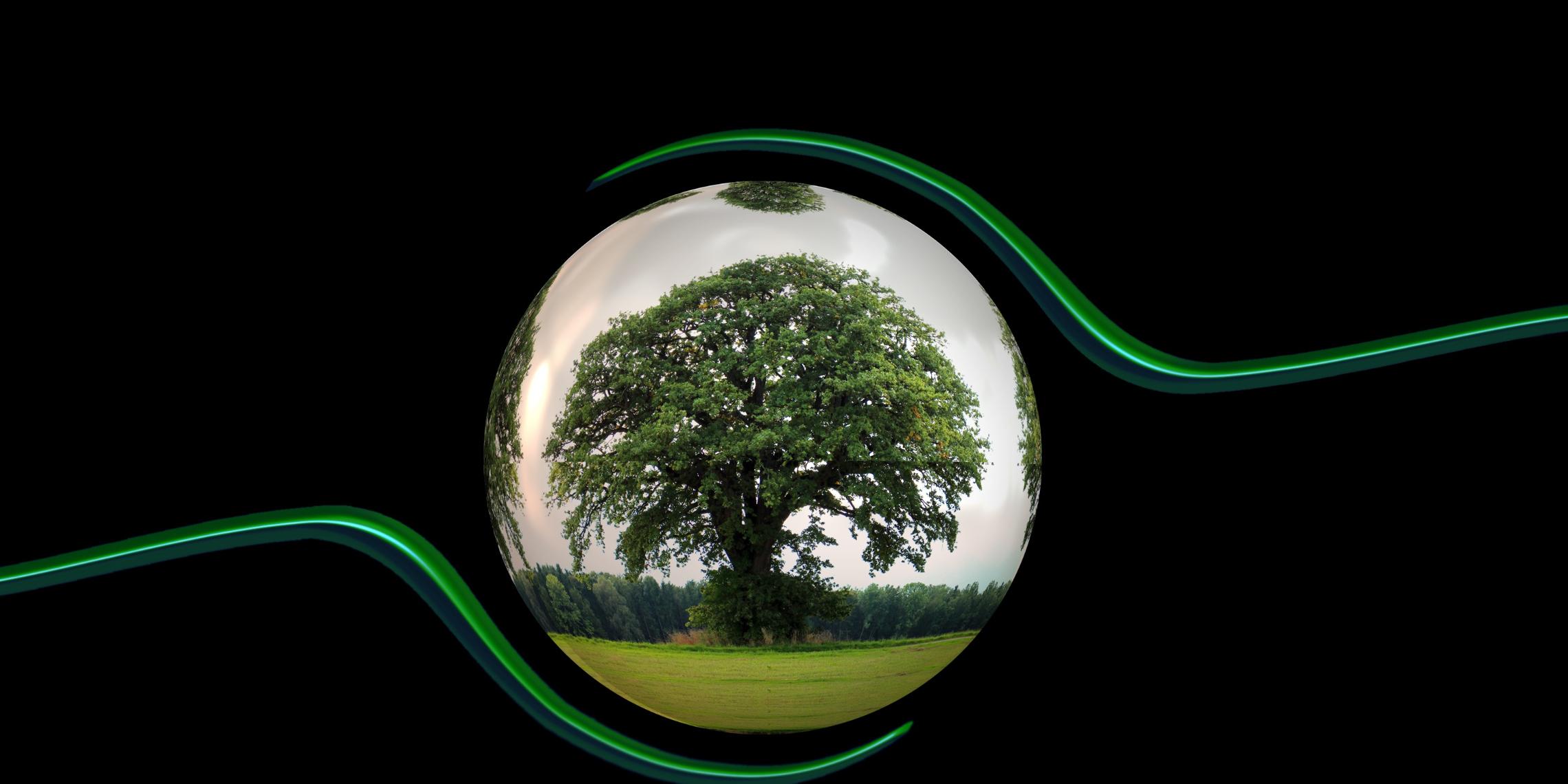 tree-light-leaf-environment-green-circle-1334147-pxhere.com