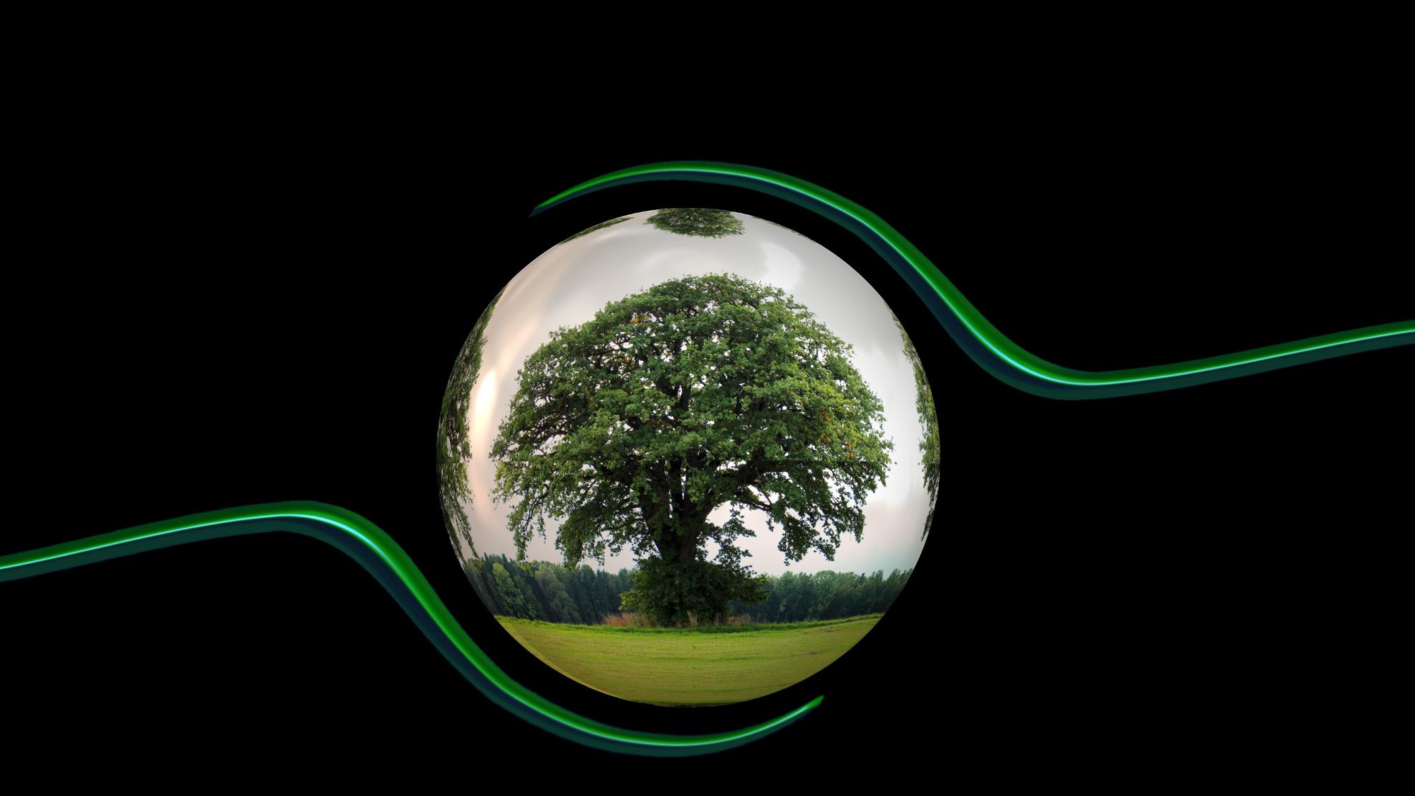 tree-light-leaf-environment-green-circle-1334147-pxhere.com